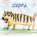 Zebra 斑马篇